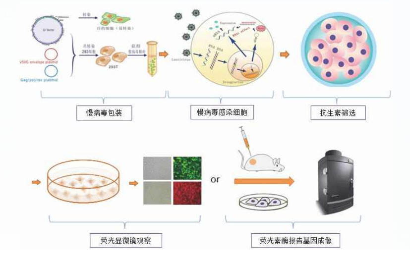 68ea0adeb9e09.png image.png