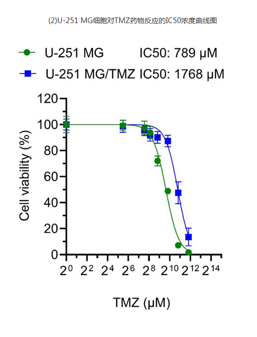 68ea115b62c48.png image.png